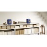 Kef LSX II Wireless