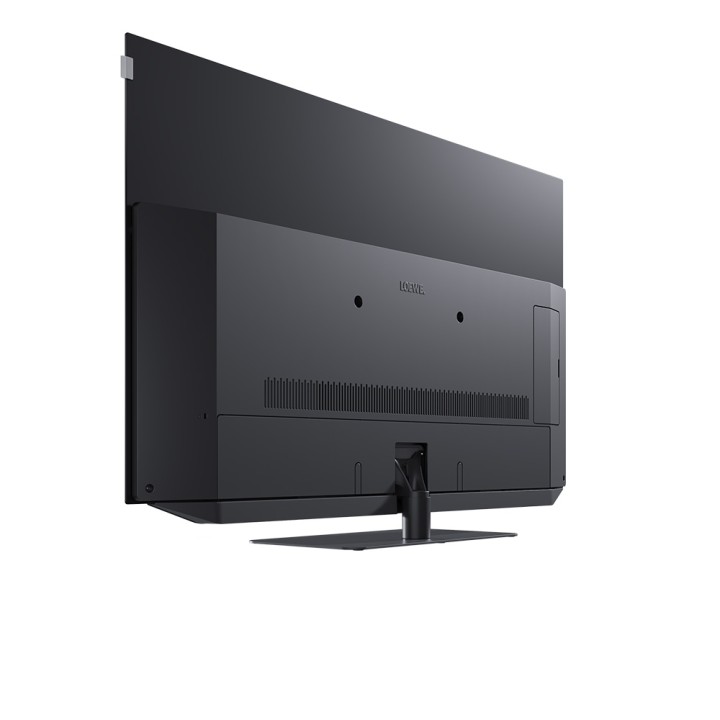 Loewe Bild V-55