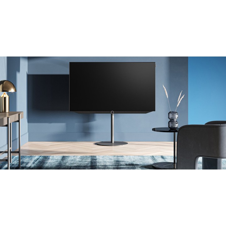 Loewe Bild V-55