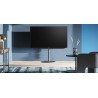 Loewe Bild V-55