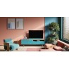 Loewe We.55 SEE Coral