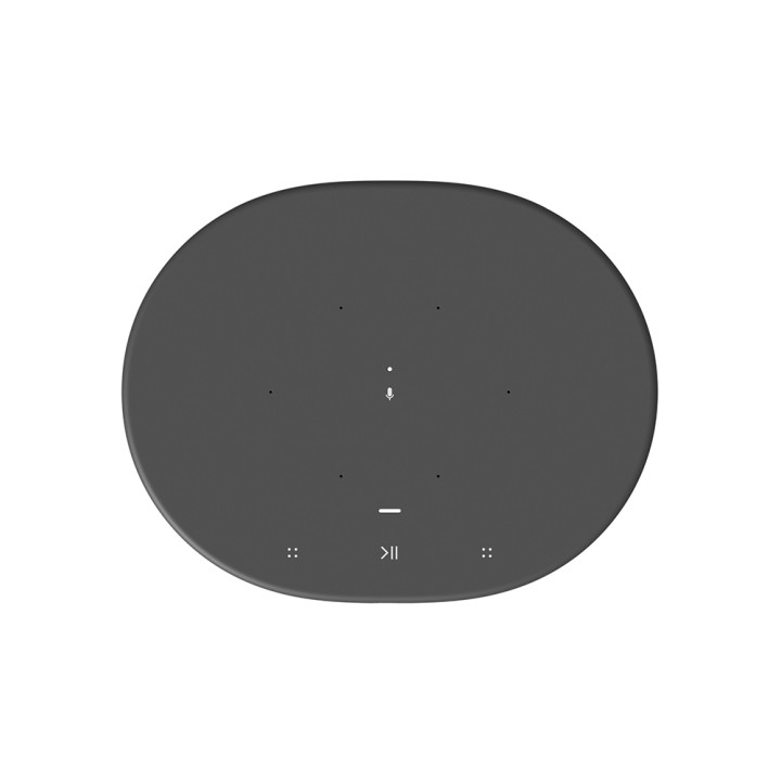 Sonos Move
