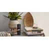 Sonos Roam