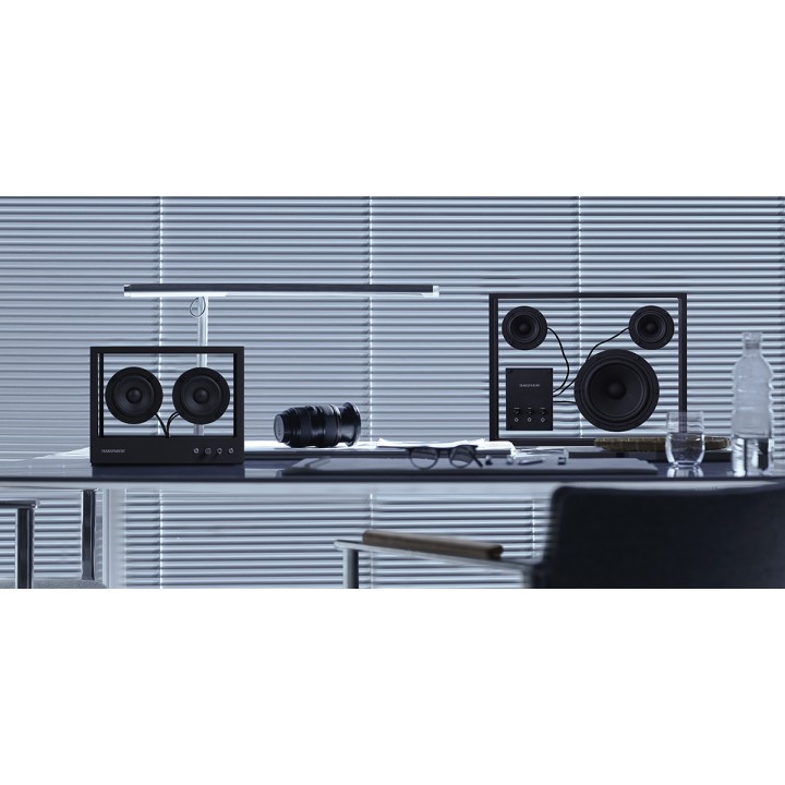 Transparent Speaker Small TS-B