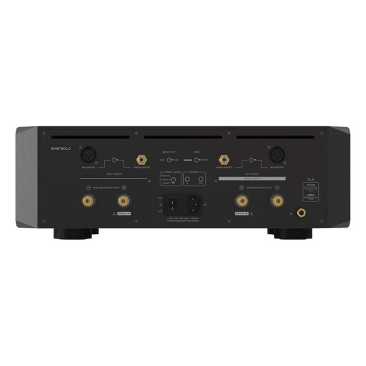 EverSolo AMP-F10