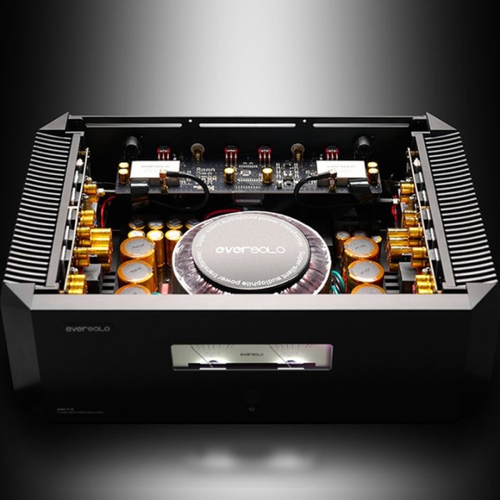 EverSolo AMP-F10