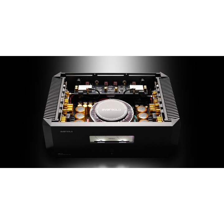 EverSolo AMP-F10
