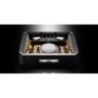 EverSolo AMP-F10