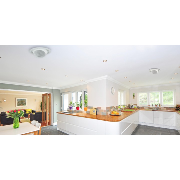 Cabasse IO3 In Ceiling