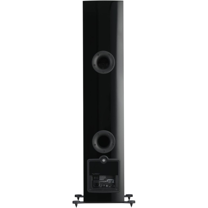 Dali Rubicon 6 C + Sound Hub + NPM-1BluOS