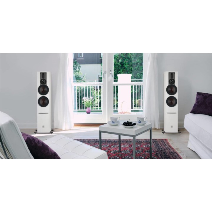 Dali Rubicon 6 C + Sound Hub + NPM-1BluOS