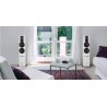 Dali Rubicon 6 C + Sound Hub + NPM-1BluOS
