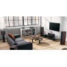 Dynaudio Emit 50 (Paire)