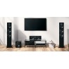 Dynaudio Emit 50 (Paire)