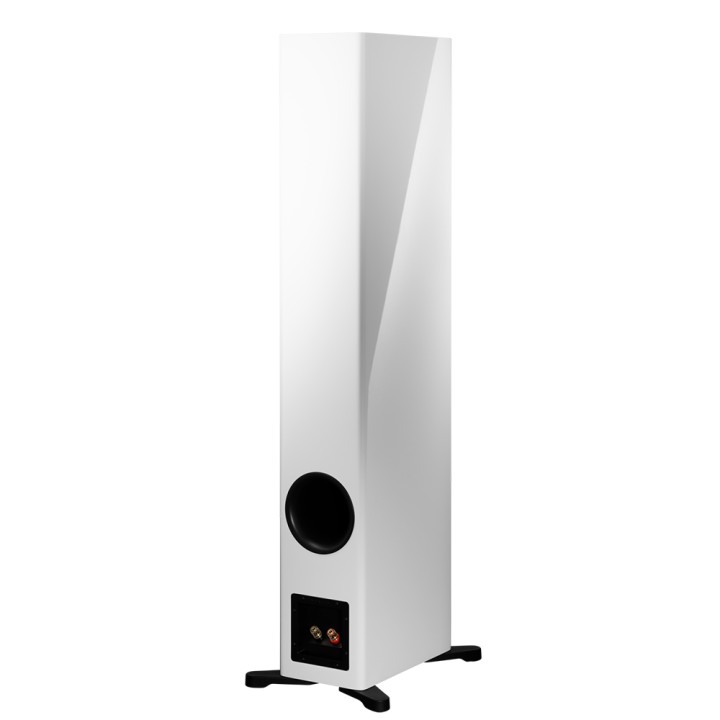 DYNAUDIO EVOKE 50 (Paire)